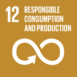 Goal 12 - Responsible consumption and production