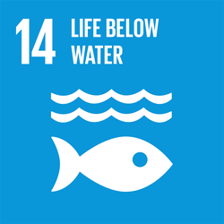 Goal 14 - Life below water