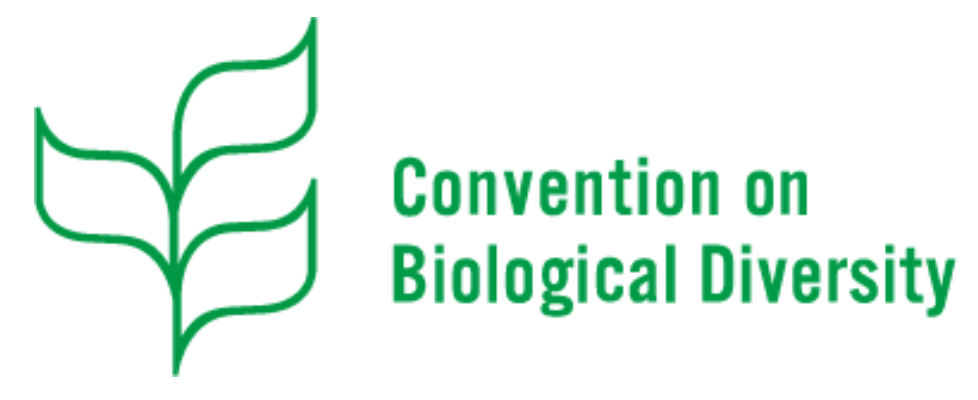 Logo cbd