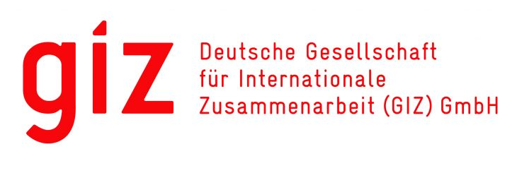 Logo giz